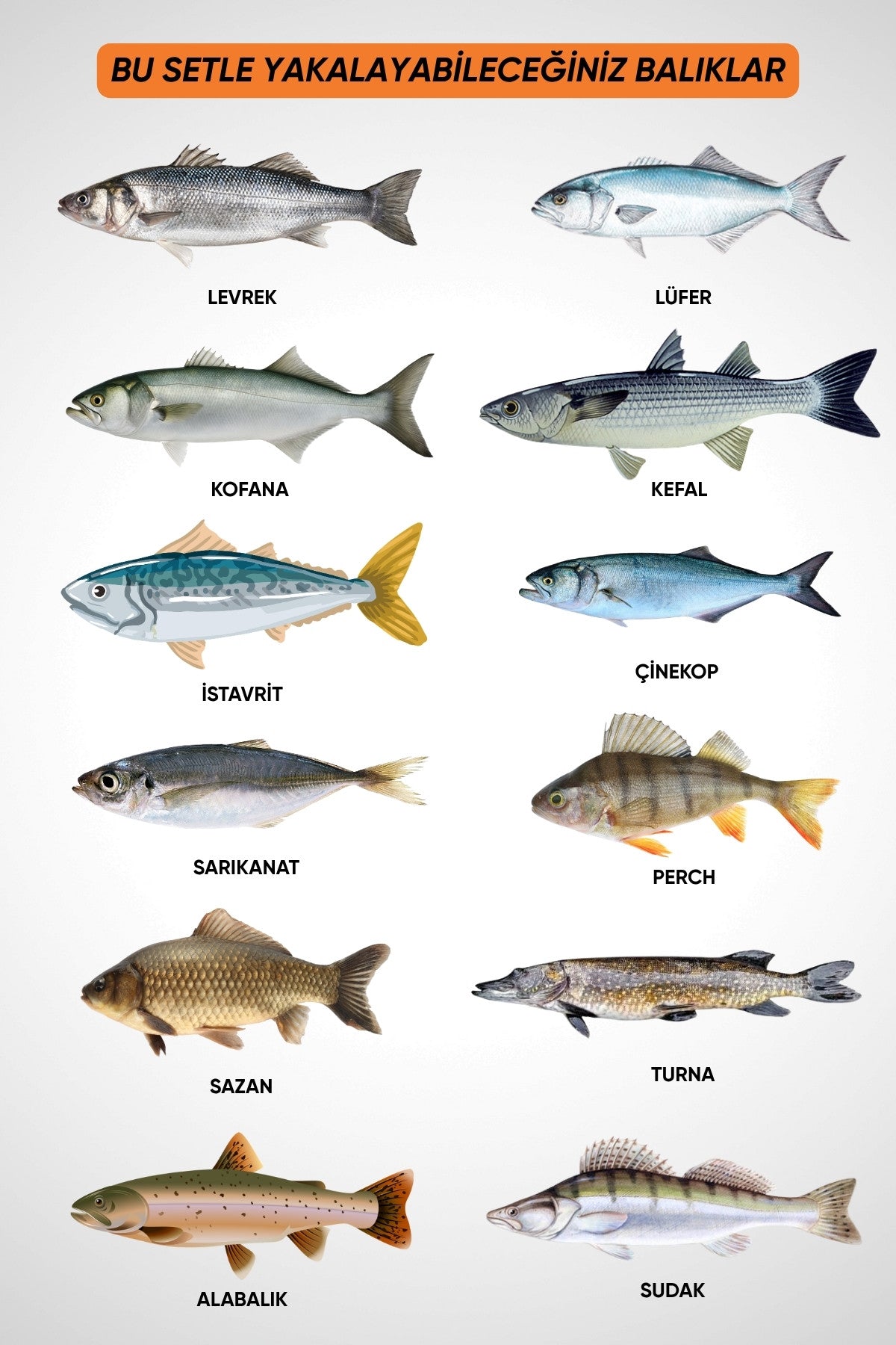 30 Parça Deniz ve Göl Profesyonel Olta Takımı Seti - 360cm Kamış 100-300GR
