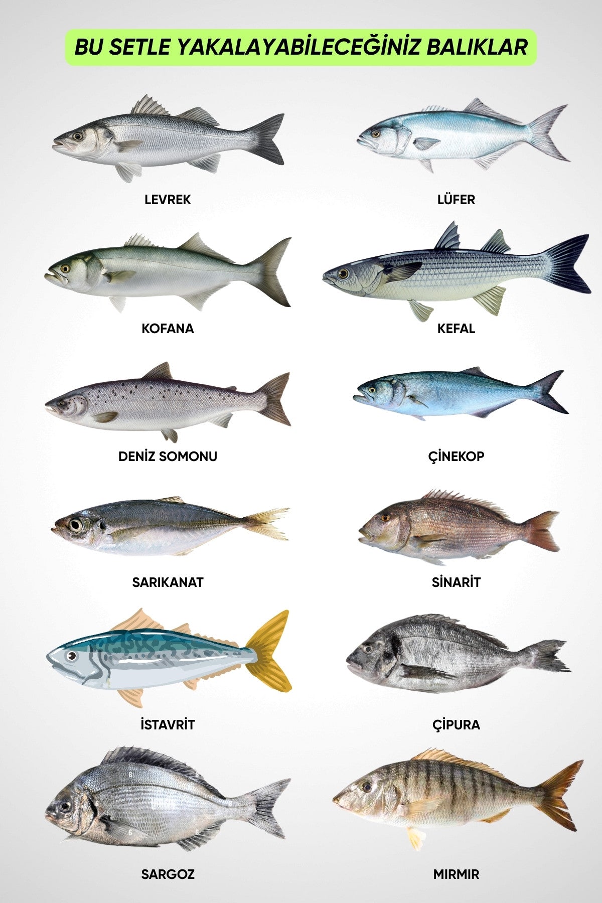 33 Parça Profesyonel Deniz Olta Takımı Seti - Mor - 350cm Kamış 60/120gr