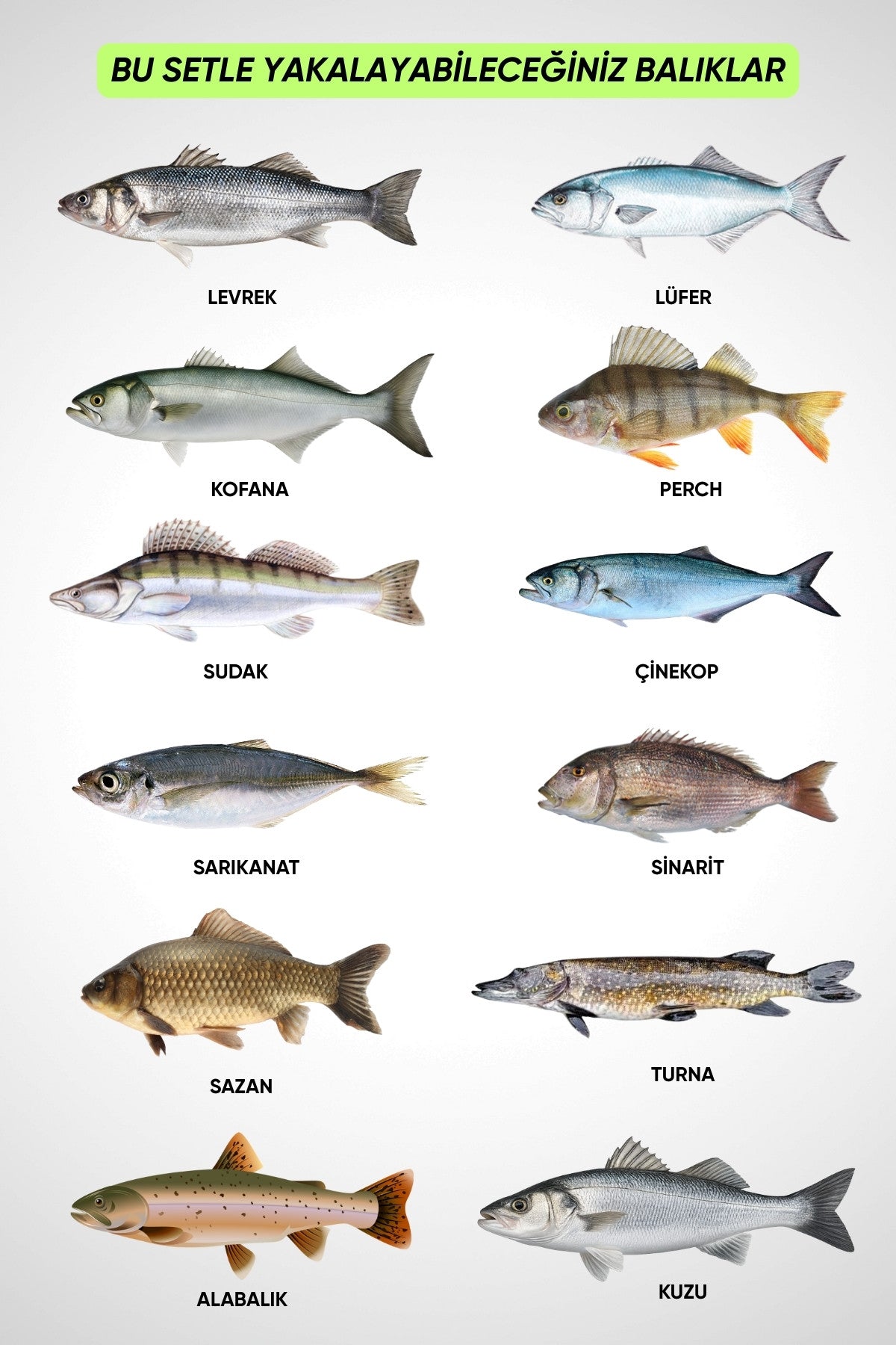 Deniz Ve Göl Surf Olta Takımı Seti 350cm Kamış 60/120gr / 60'lık Makine (Kahve)