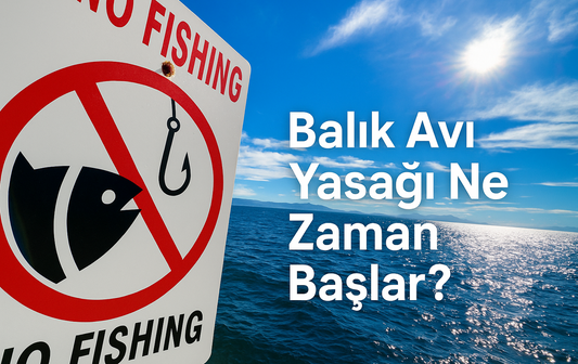 Balık Avı Yasağı Ne Zaman Başlar, Ne Zaman Biter? Güncel ve Kapsamlı Rehber