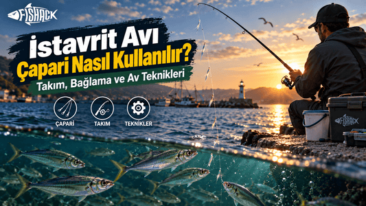 İstavrit Avı Nasıl Yapılır? Çapari Takımı Rehberi