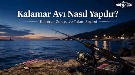 Kalamar Avı Nasıl Yapılır? Zoka ve Takım Rehberi