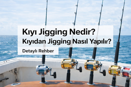 Kıyı Jigging Nedir? Kıyıdan Jigging Nasıl Yapılır?