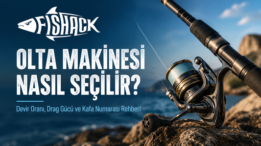 Olta Makinesi Nasıl Seçilir? Kapsamlı Rehber
