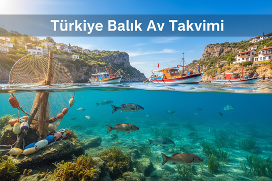 Türkiye Balık Av Takvimi: Aylara Göre En Verimli Türler ve Av Dönemleri