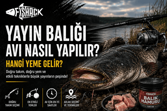 Yayın Balığı Avı Nasıl Yapılır? Hangi Yeme Gelir?
