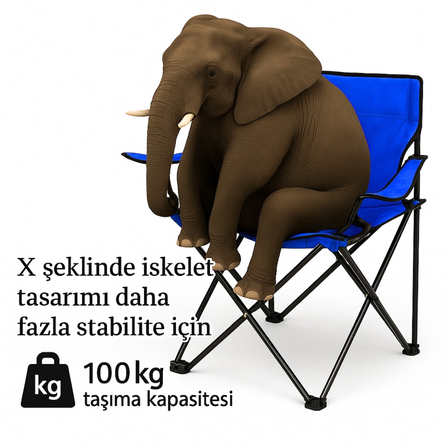 2 Adet Katlanır Kamp Sandalyesi - Piknik Plaj Sandalyesi - (DY.001) - Mavi - Taşıma Çantalı