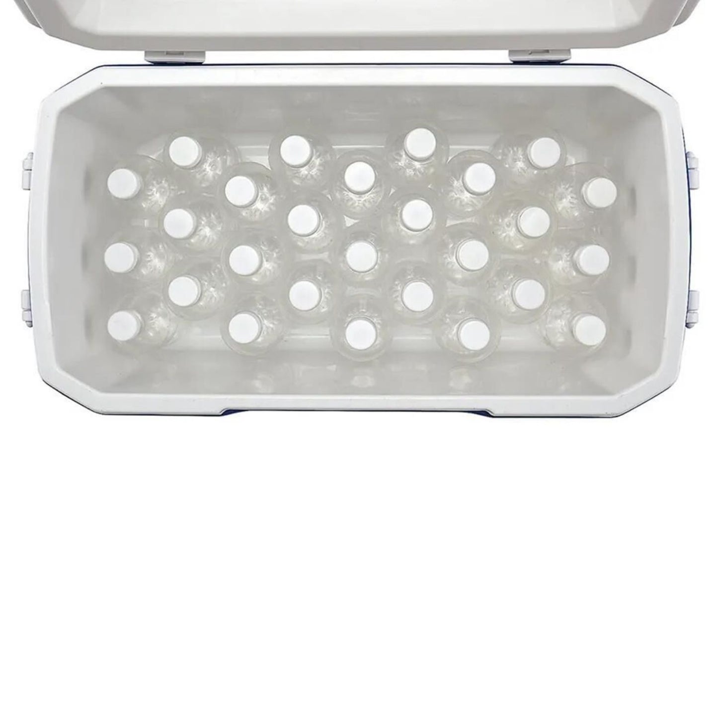 Soğutucu Buzluk - Coleman - Poly Lite 48 QT - 45.7 lt - Mavi/Beyaz