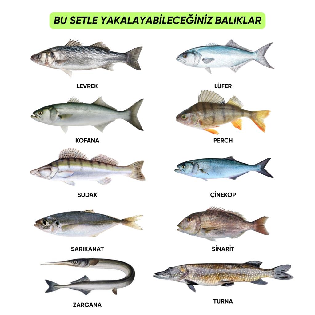 Silikon Spin At-Çek Yem Seti - 70 Parça - Yem Kutulu - Fishack (2003)