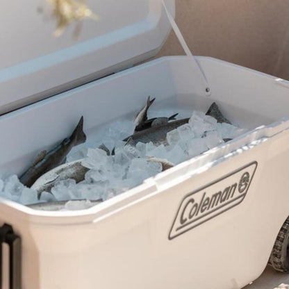 Soğutucu Buzluk - Coleman - Xtreme Wheeled 100 QT Tekerlekli - 94.6 lt - Beyaz