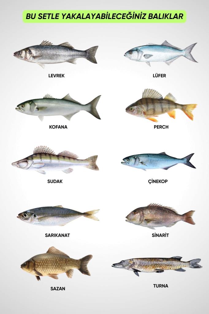 Spin At-Çek Deniz ve Göl Profesyonel Olta Seti Takımı - M - 1.50MT / 10-30GR - 42 Parça Elite