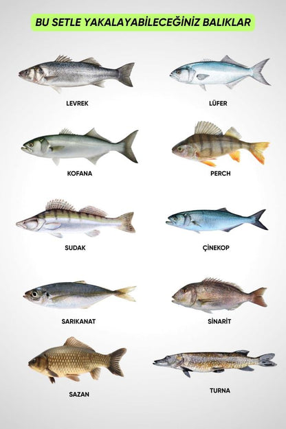 Spin At-Çek Deniz ve Göl Profesyonel Olta Seti Takımı - XXL - 2.40MT / 10-30GR - 42 Parça Elite